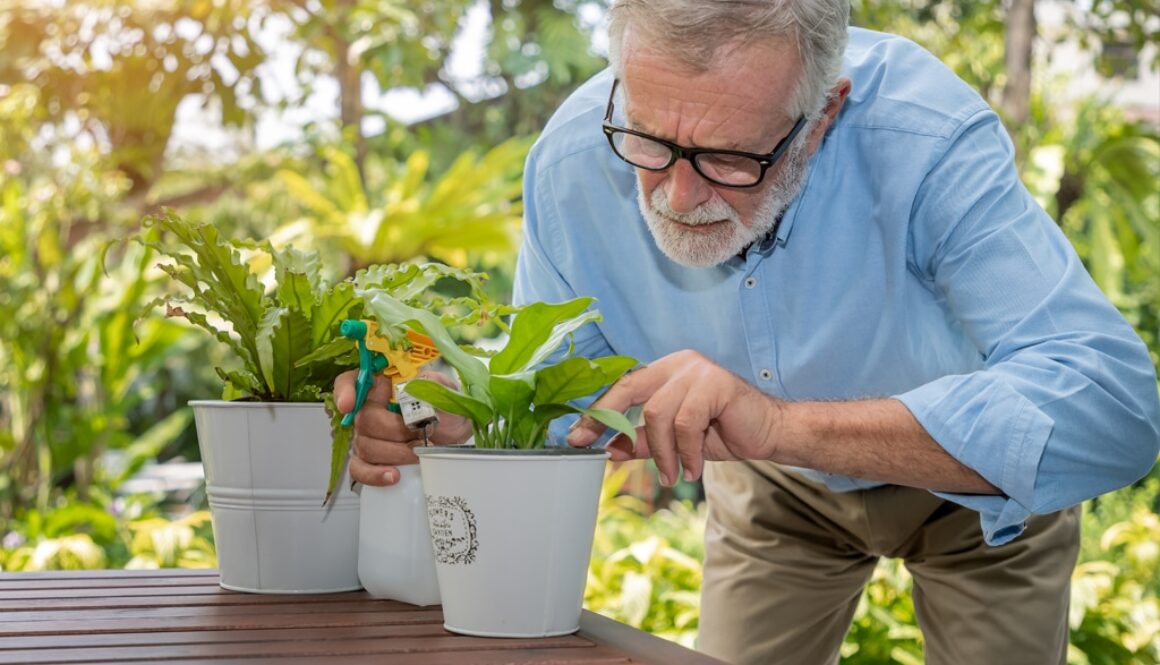 Gardening-as-a-Mental-Health-Tool-smpltec